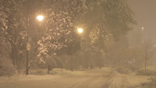 Снігова буря вночі в міському парку — стокове відео