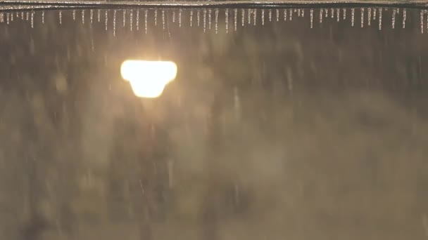 Ijspegel in de sneeuwstorm — Stockvideo