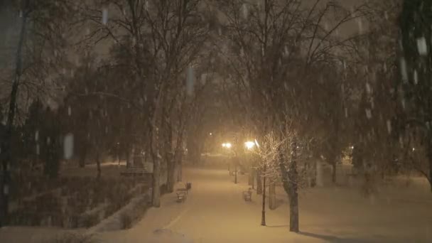 Lámpara en la tormenta de nieve por la noche — Vídeos de Stock