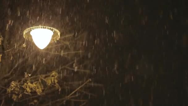 Lámpara en la tormenta de nieve por la noche — Vídeos de Stock