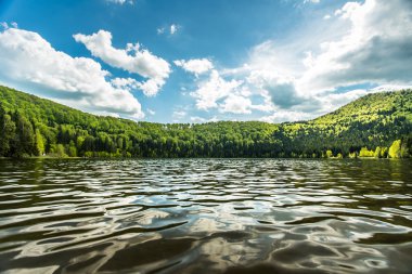 Çam ormanları ile çevrili küçük bir göl