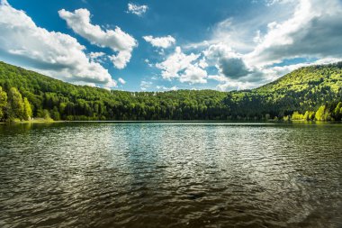 Çam ormanları ile çevrili küçük bir göl