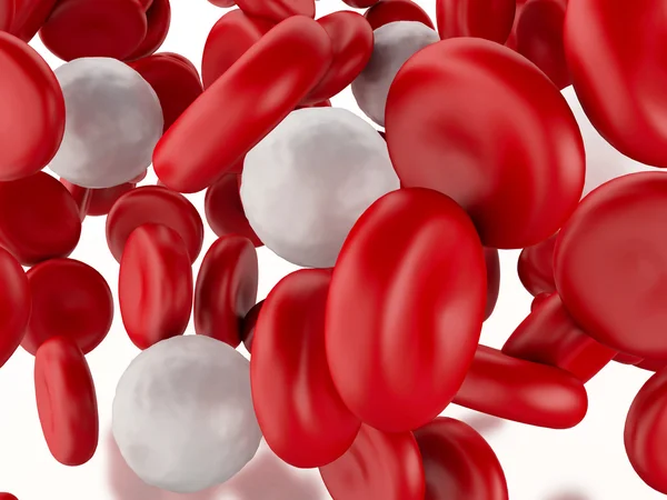Glóbulos rojos y blancos 3D —  Fotos de Stock