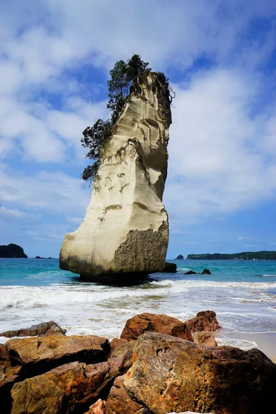 Cathedral Cove Unik Kalksten Coromandel Halvön Nya Zeeland — Stockfoto