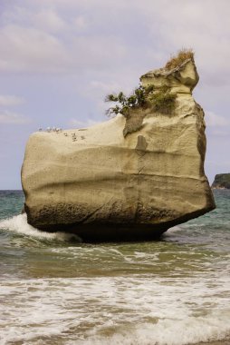Katedral Koyu, Yeni Zelanda 'daki Coromandel yarımadasında eşsiz bir kireçtaşıdır.
