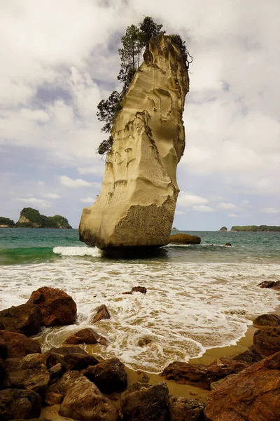 Cathedral Cove Unik Kalksten Coromandel Halvön Nya Zeeland — Stockfoto