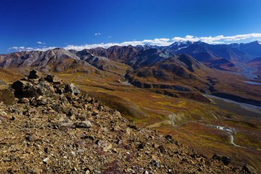 Alaska 'daki Denali Milli Parkı' nda manzara güneşli bir günde