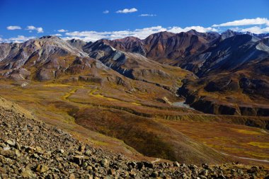 Alaska 'daki Denali Milli Parkı' nda manzara güneşli bir günde
