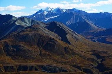 Alaska 'daki Denali Milli Parkı' nda manzara güneşli bir günde