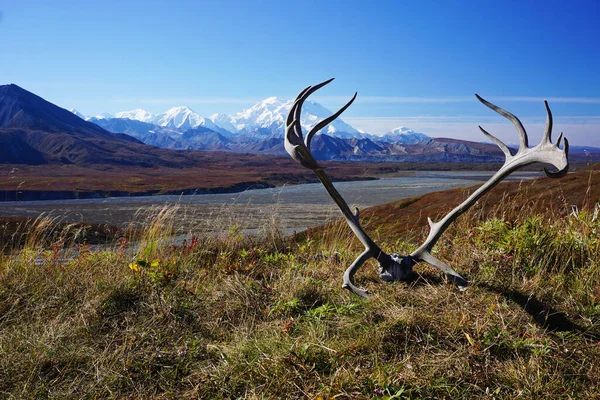 Schöne Aussicht Auf Den Mount Denali Alaska — Stockfoto