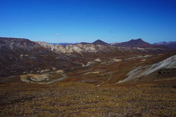 Paesaggio Nel Parco Nazionale Denali Alaska Bella Giornata Sole — Foto Stock