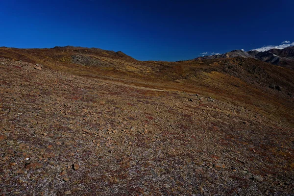 Krajobraz Parku Narodowym Denali Alasce Piękny Słoneczny Dzień — Zdjęcie stockowe