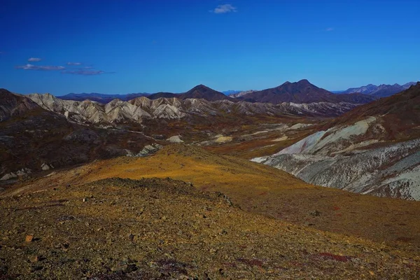 Τοπίο Στο Εθνικό Πάρκο Denali Στην Αλάσκα Όμορφη Ηλιόλουστη Μέρα — Φωτογραφία Αρχείου