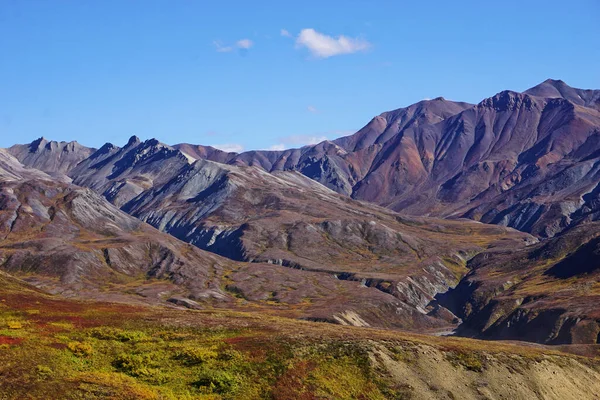 Landschaft Nationalpark Denali Alaska Bei Schönem Sonnenschein — Stockfoto