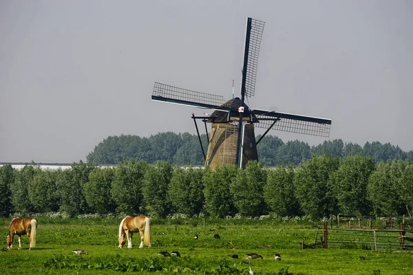 Paisagem Holandesa Famosa Com Moinhos Vento Kinderdijk Holanda Património Mundial — Fotografia de Stock