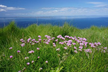 Batı İrlanda 'daki Meher Kayalıkları