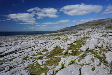 İrlanda 'daki Burren Milli Parkı