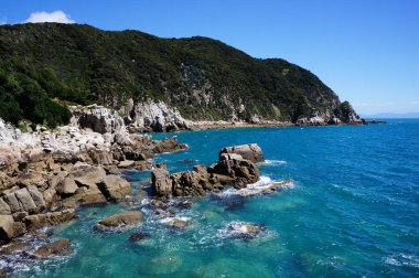 Yeni Zelanda 'daki Rocky Sahili