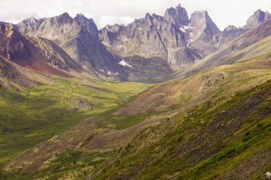 Yukon 'daki Grizzly Gölü patikasında görüntüle