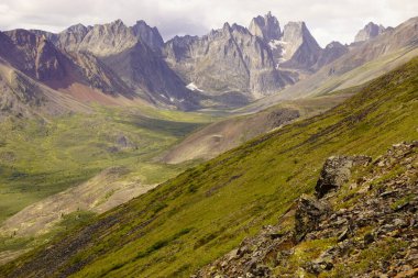 Yukon 'daki Grizzly Gölü Yolu manzarası