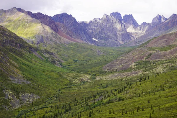 Pohled Stezku Jezera Grizzly Yukonu — Stock fotografie