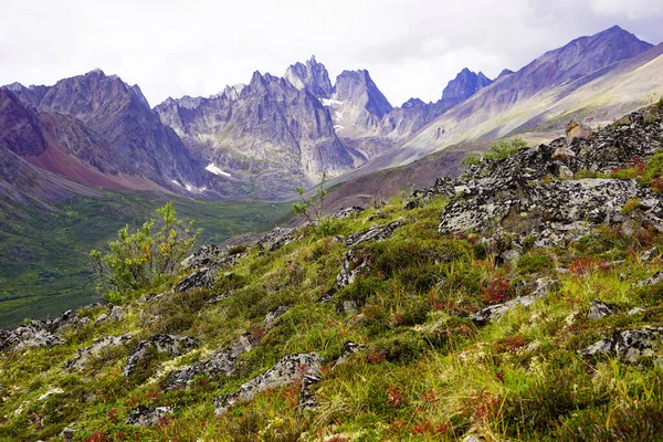 Widok Szlak Jeziora Grizzly Yukon — Zdjęcie stockowe