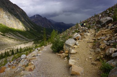 Rocky dağlarında kayalık yol