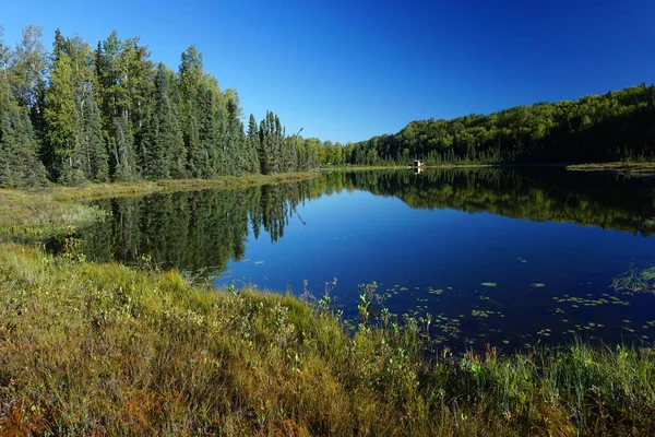 Réflexion Forêt Sur Surface Eau — Photo