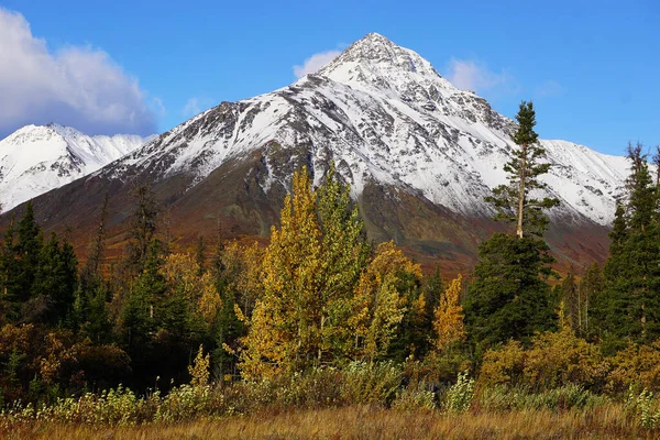 Bellissimo Paesaggio Selvaggio Nel Nord Del Canada Autunno — Foto Stock