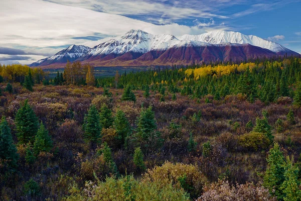 Prachtig Wild Landschap Herfst Yukon — Stockfoto