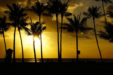 Tropikal adada renkli gün batımı
