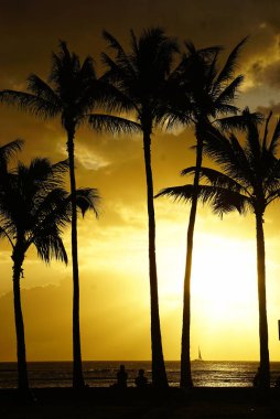 Tropikal adada renkli gün batımı