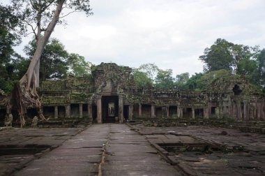 Kamboçya 'daki Angkor Wat Tapınağı