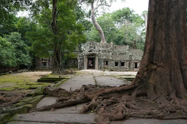 Ναός Angkor Wat Στην Cambodia — Φωτογραφία Αρχείου