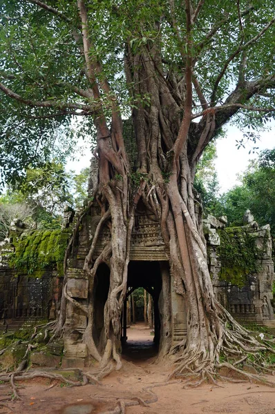 Angkor Wat Temple Cambodia Royalty Free Stock Photos