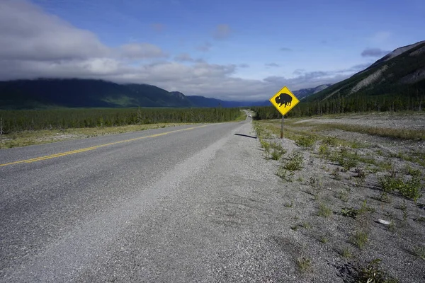 Yellow diamond warning road sign  watch for wildlife