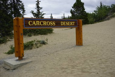 Kanada, Yukon 'daki Carcross Çölü tabelası.