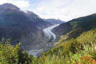 Kanada 'nın batı kıyısındaki British Columbia' da Somon Buzulu