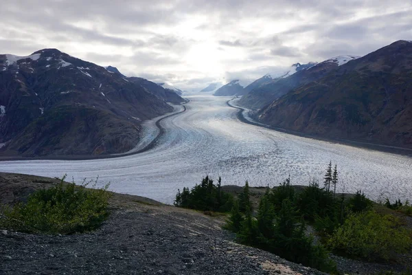 Lachsgletscher British Columbia Der Kanadischen Westküste — Stockfoto