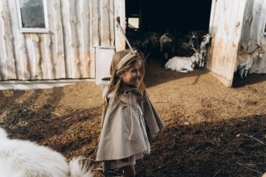 Eski püskü elbiseler giymiş sevimli küçük kız köyde hayvanlarla ahırın yanında duruyor. 