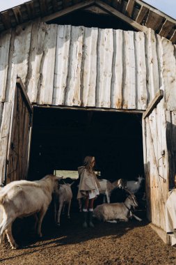 Eski püskü elbiseler giymiş sevimli küçük kız köyde hayvanlarla ahırın yanında duruyor. 