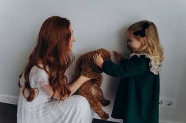 Beyaz bohem elbiseli güzel kızıl saçlı kadın bir köpek tutuyor ve küçük kızına beyaz bir duvarın önünde onu gösteriyor. 