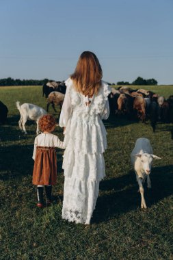 Beyaz dantelli elbiseli güzel bir kadının kızıl saçlı kızıyla tarlada keçi ve koyunlarla vakit geçirmesinin arka görüntüsü.