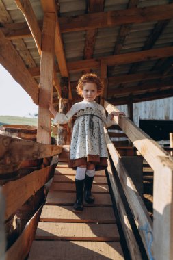 Kaliteli bir elbise giymiş, çiftlik ambarındaki ahşap merdivenlerde yürüyen kızıl saçlı güzel bir kız.