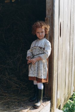 Eski moda elbiseli güzel kızıl saçlı kız çiftlikteki ahşap ahırın yanında duruyor.