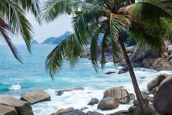 Palmas de coco, rocas y mar en Phuket —  Fotos de Stock
