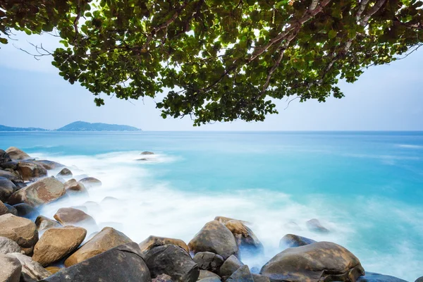 Playa con rocas y árbol caducifolio —  Fotos de Stock
