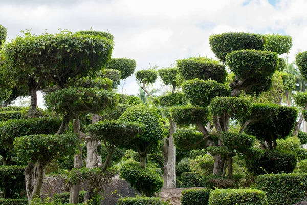 Japanischer Garten — Stockfoto