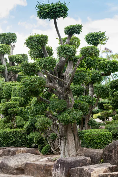 Japanischer Garten — Stockfoto