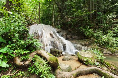 Yağmur ormanlarında şelale